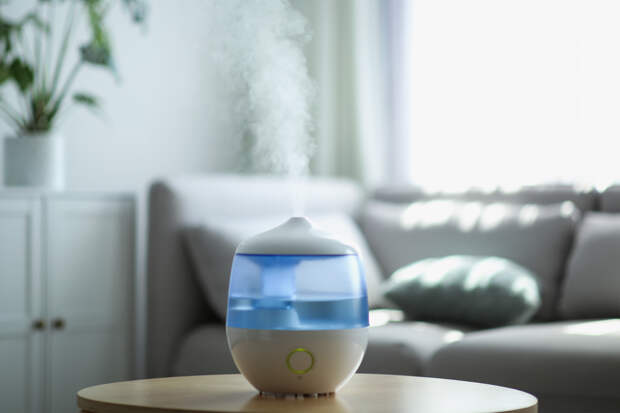Россиянам дали советы по увлажнению воздуха в квартире