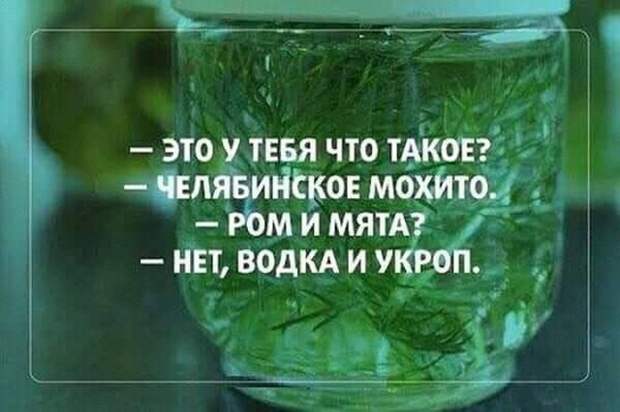 Уморительные картинки и остроты на все случаи жизни Уморительные картинки и остроты на все случаи жизни