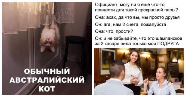Уморительные картинки и остроты на все случаи жизни Уморительные картинки и остроты на все случаи жизни