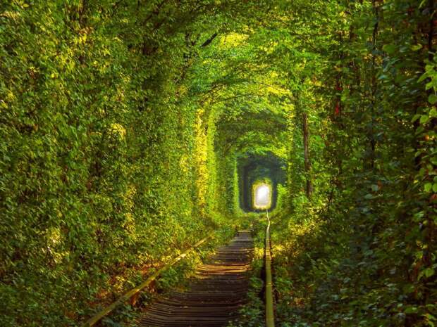 Тоннель любви, Клевань, Украина красивые места, мир, природа, путешествия, сказка