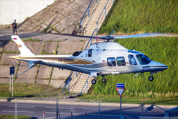 LYSM9749