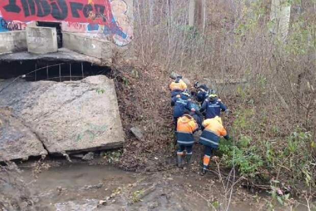 В Липецке в овраге найдено тело мужчины, упавшего с моста