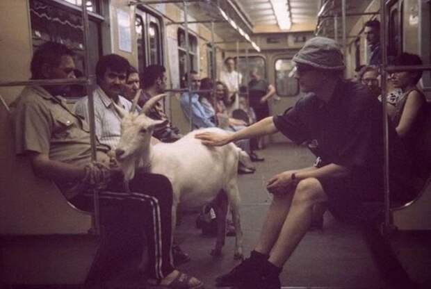 25 странных вещей, которые люди перевозят в метро