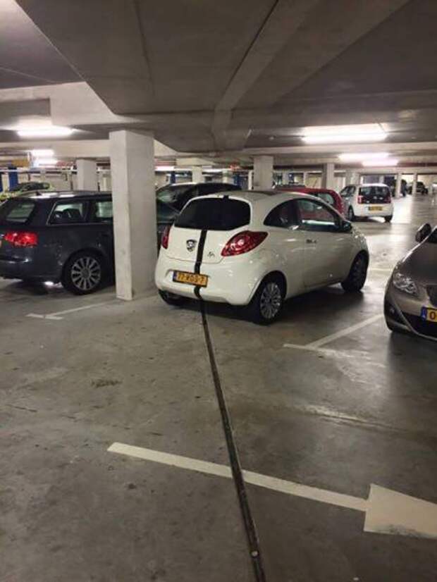 Оказалось, показалось (20 фото)