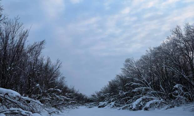 В Архангельской области ожидается ухудшение погоды 7 марта