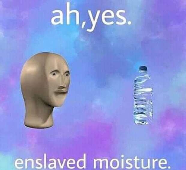 Ah yes enslaved meme