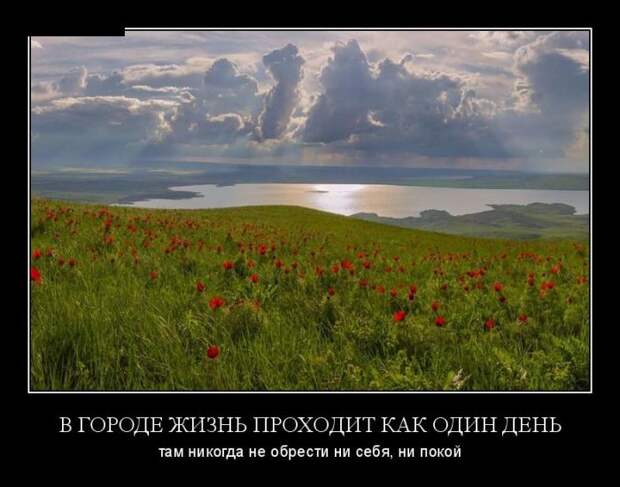 Демотиваторы (30 фото)