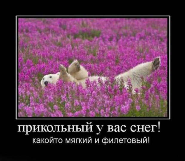 Прикольные и забавные демотиваторы для позитива (10 фото)