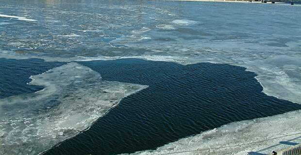 Названы сложности при поиске пропавших в Подмосковье детей