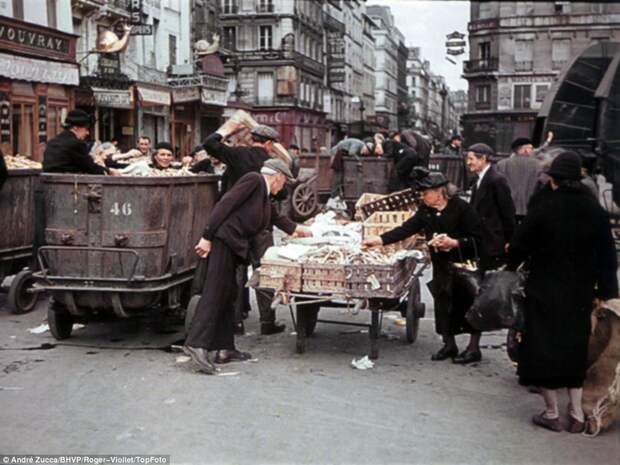 article-2417335-1BC1D38E000005DC-384_964x724.jpg article-2417335-1BC1D38E000005DC-384_964x724.jpg