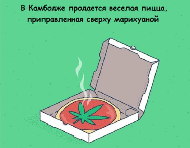 www.vsyako.net