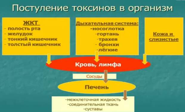 токсины+06+08