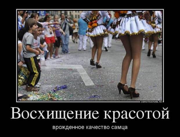Немного новых демотиваторов