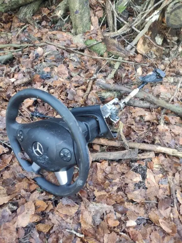 Разные неожиданные и жуткие находки в лесу