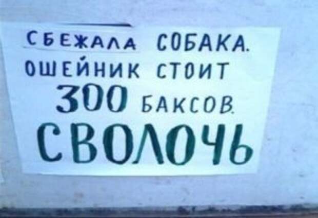 23 смешных объявления от народа, которые поднимут настроение всем