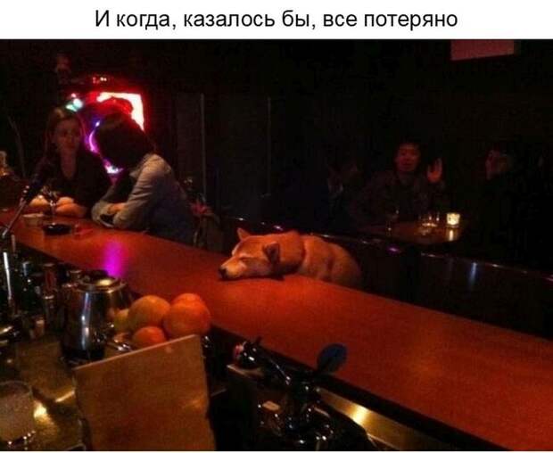 О ценности улыбки в нашей жизни (23 фото) О ценности улыбки в нашей жизни (23 фото)