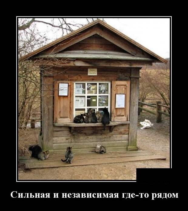 www.vsyako.net