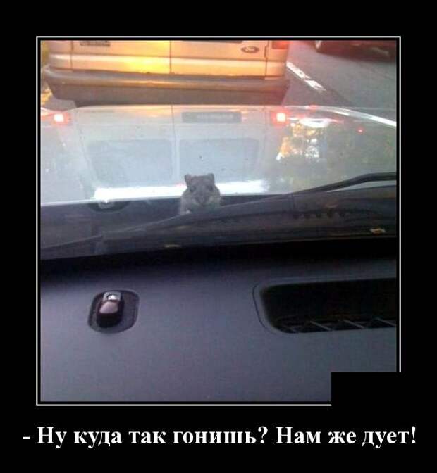 www.vsyako.net