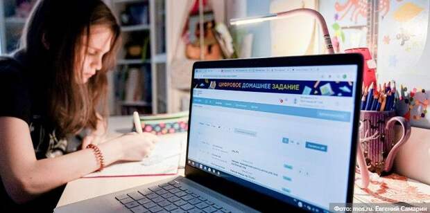 Эксперт РАН: МЭШ показала себя как практически работающий инструмент. Фото: Е. Самарин mos.ru