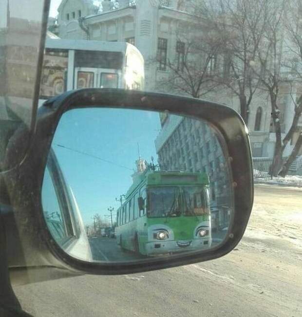 Прикольные картинки