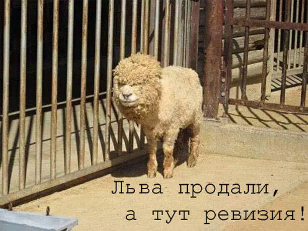 ПРИКОЛЬНЫЕ КАРТИНКИ С НАДПИСЯМИ