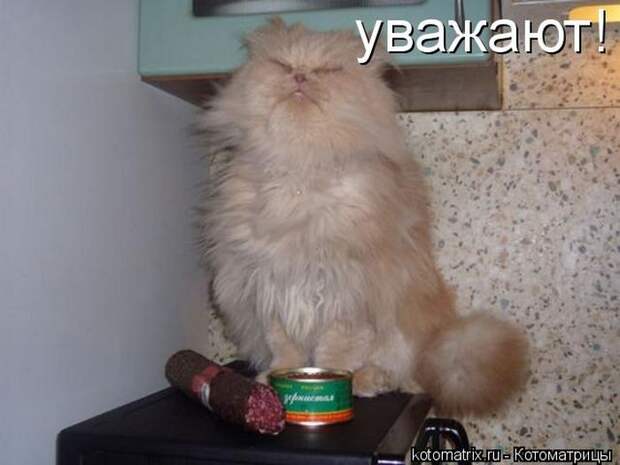 Мысли вслух :)