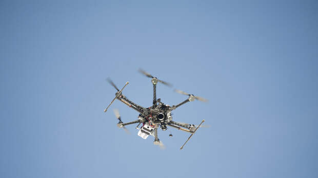 Морпех Емеля: собаки помогают выявлять беспилотники в зоне спецоперации