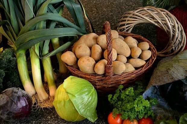 Картофель в сетку, лук - в «косы». Садовод о том, как сохранить урожай