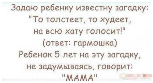 Весна идет - весне дорогу! Весна идет - весне дорогу!