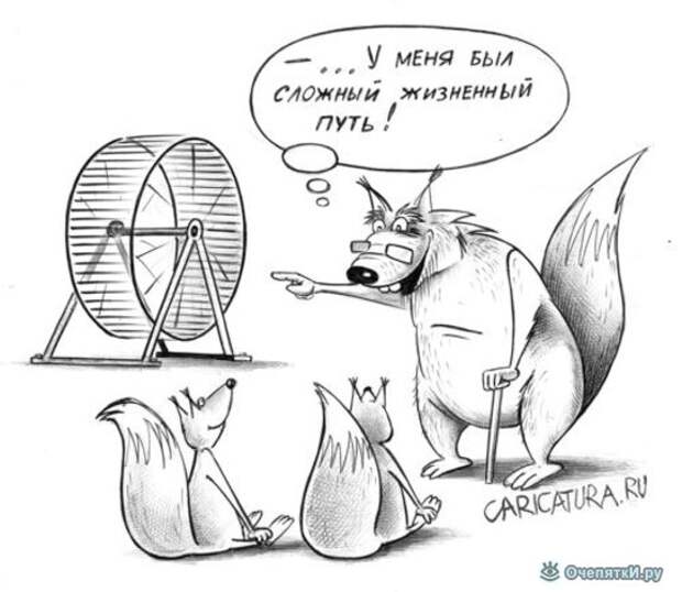 Карикатуры из жизни 8