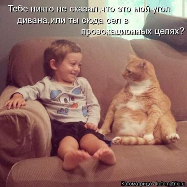 Она приходит... котЭматрикс!