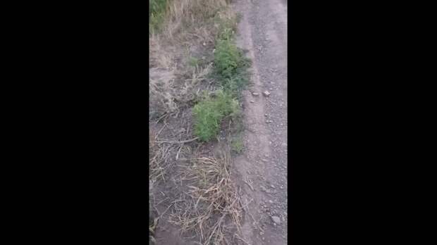 Video: Клип @donetskdnr_vk