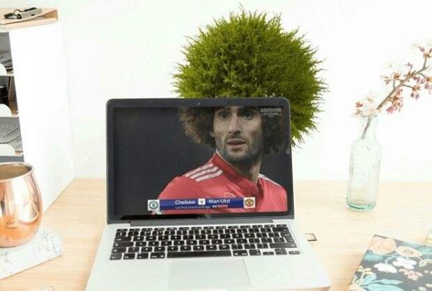 Красота — в случайностях.