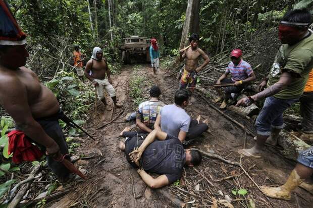 Как жители Амазонки защищают собственные леса защита животных, лесорубы