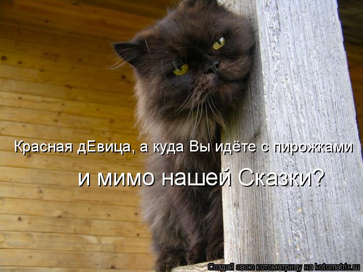 Котоматрица: и мимо нашей Сказки? Красная дЕвица, а куда Вы идёте с пирожками