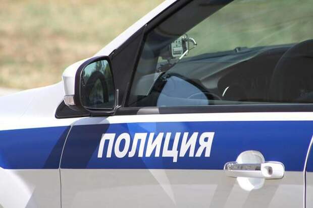 Гость из Воронежа приехал в Куркино с фальшивыми правами