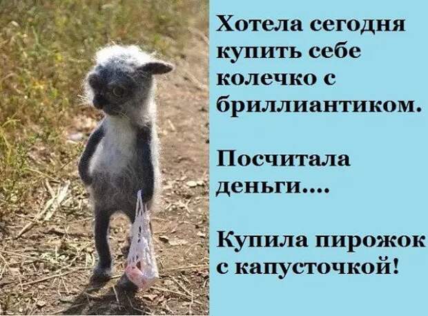 Мужик в фуфайке, грязный, небритый, подходит к телеге с навозом, впрягается вместо лошади в телегу и тянет. Мужик в фуфайке, грязный, небритый, подходит к телеге с навозом, впрягается вместо лошади в телегу и тянет.