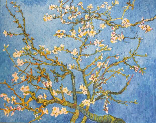 Концерт «Ожившие полотна. Ван Гог и Вивальди» в Яани Кирик