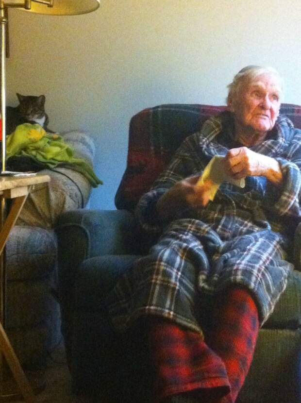 Творение 96-летнего дедушки миниатюра, проект, золотые руки, своими руками