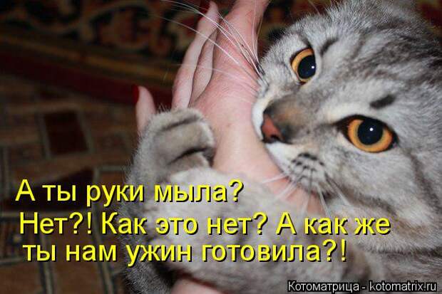 Котоматрица: А ты руки мыла? Нет?! Как это нет? А как же ты нам ужин готовила?!