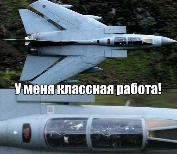 Прикольные картинки Прикольные картинки