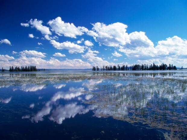 Озеро Йеллоустоун/Yellowstone Lake