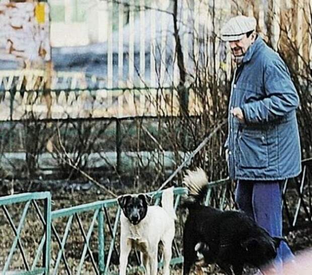 Георгий Вицин: скромная жизнь талантливого актера (47 фото)