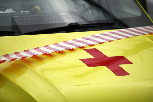 Хинштейн опроверг данные о большом числе пострадавших при атаке на автосервис