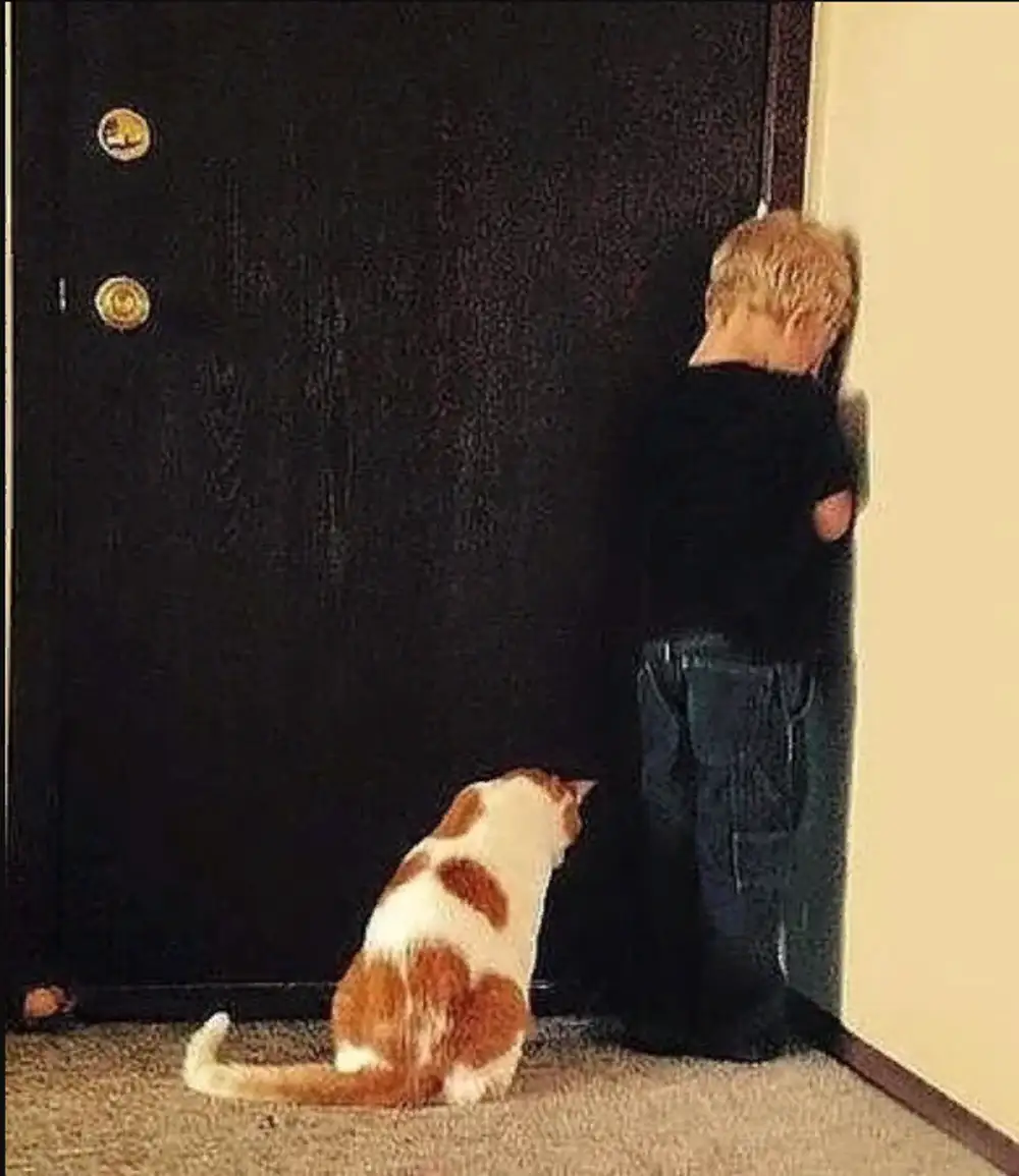 Две прямые пересекаются третьей. Почему мы так говорим. А почему не на 2. Мотор депот не загружается почему. Почему две прямые перпендикулярные к третьей не пересекаются.