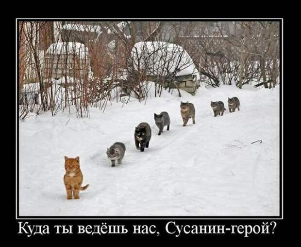 Веселые демотиваторы на утро вторника (11 фото) Веселые демотиваторы на утро вторника (11 фото)
