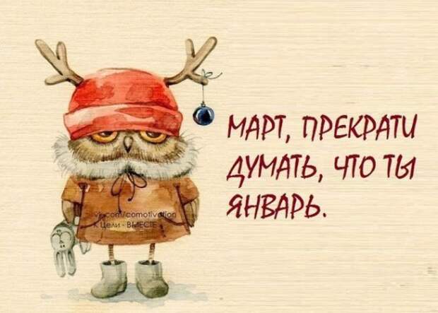 Мудрые мысли в прикольных картинках Мудрые мысли в прикольных картинках