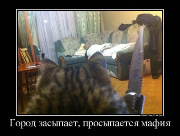Сборник свежих демотиваторов (12 шт)