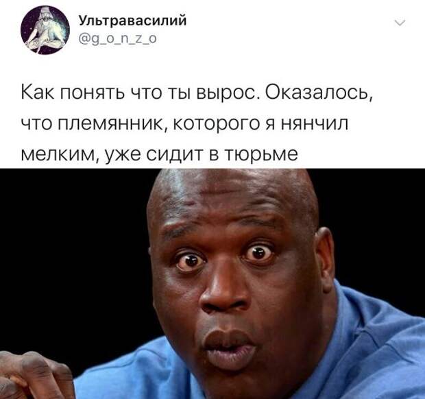 kartinok-prikolnyh-podborka-kartinki-smeshnye-kartinki-fotoprikoly