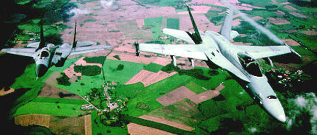 Fulcrum(МиГ-29) против Hornet